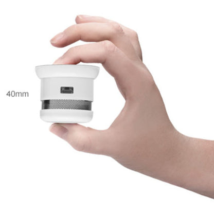 CAVIUS FRITTSTÅENDE 5-ÅRS RØYKVARSLER