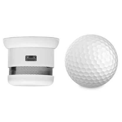 CAVIUS FRITTSTÅENDE 5-ÅRS RØYKVARSLER