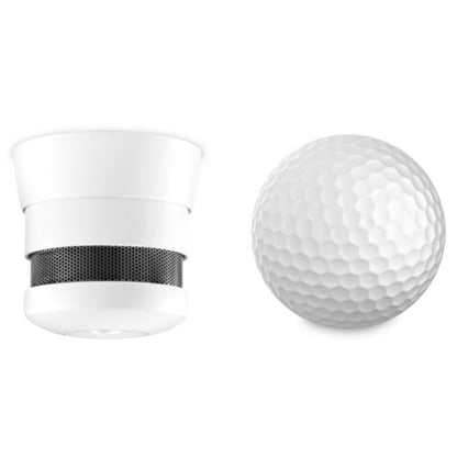 CAVIUS FRITTSTÅENDE 10-ÅRS RØYKVARSLER